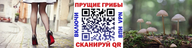 KRAKEN маркетплейс  даркнет Telegram  Галлюциногенные грибы GOLDEN TEACHER  где найти   Гдов 
